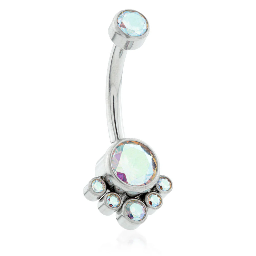 Internal Ti Double Jewelled Navel with 6 Gem Cluster