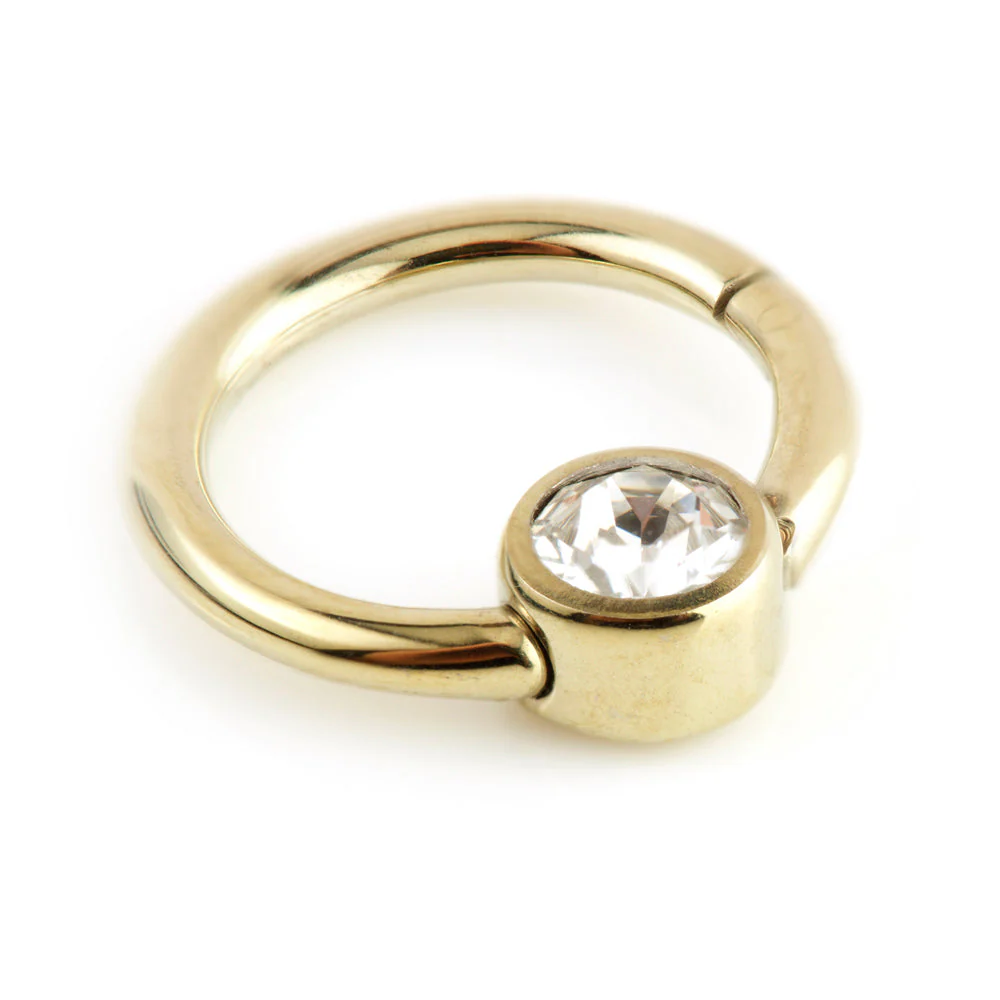 Rose Gold Ti Hinge Segment Ring with Gem - 1.2mm - Image 3