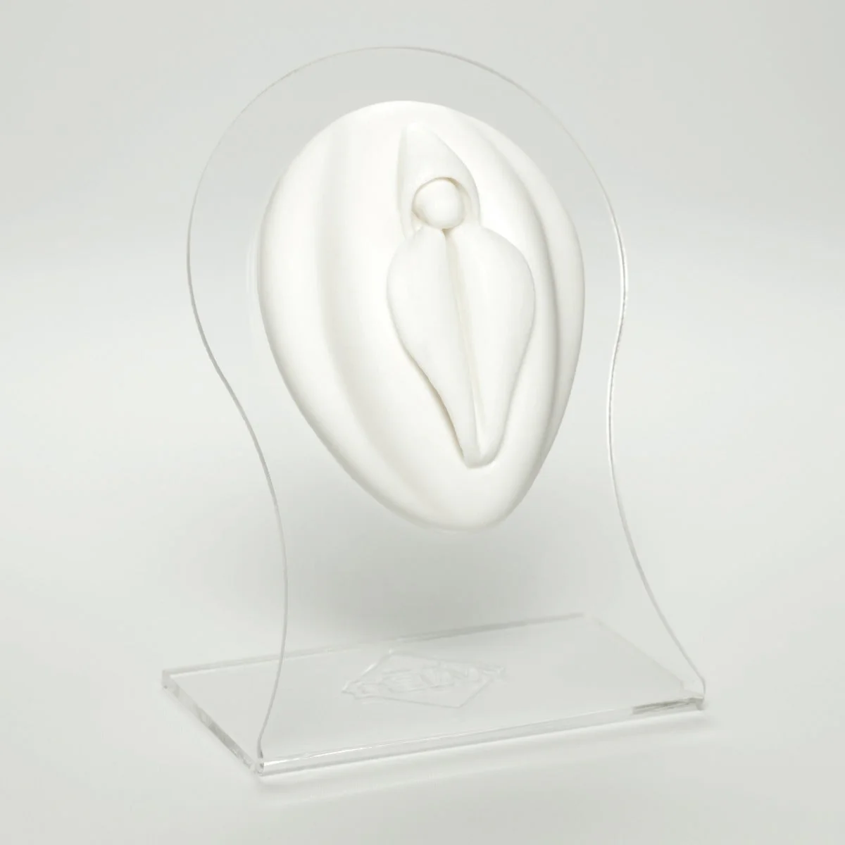 Silicone Body Part - Female Genital - Image 3