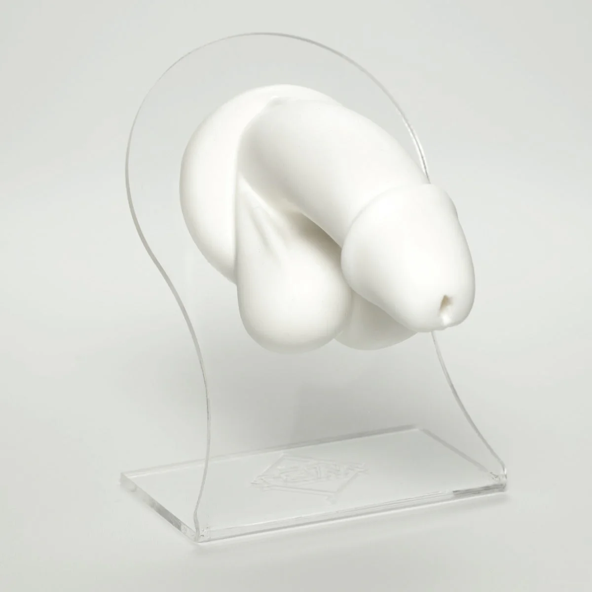 Silicone Body Part - Male Genital - Image 3