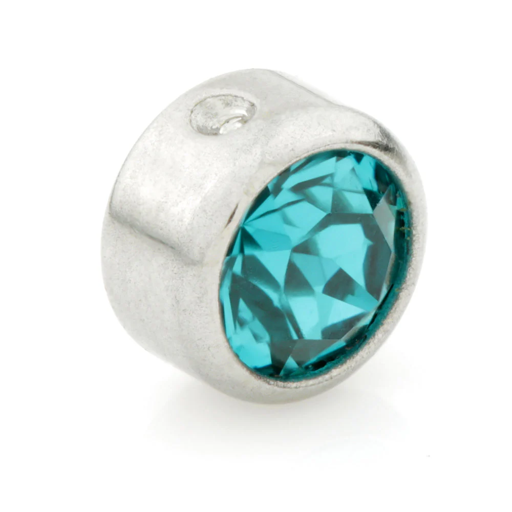 Steel Clip in Gem Disk - Image 10