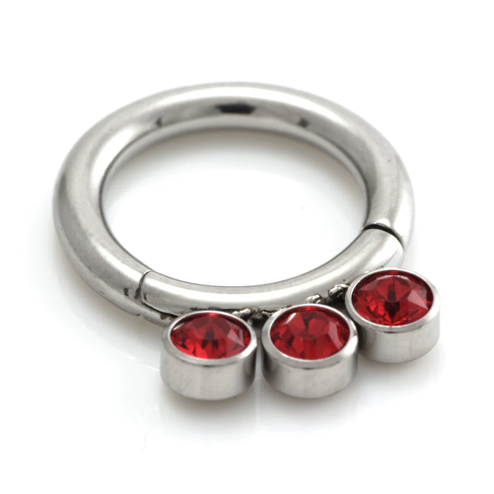 Steel Jewel Hinged Segment Ring - Image 5