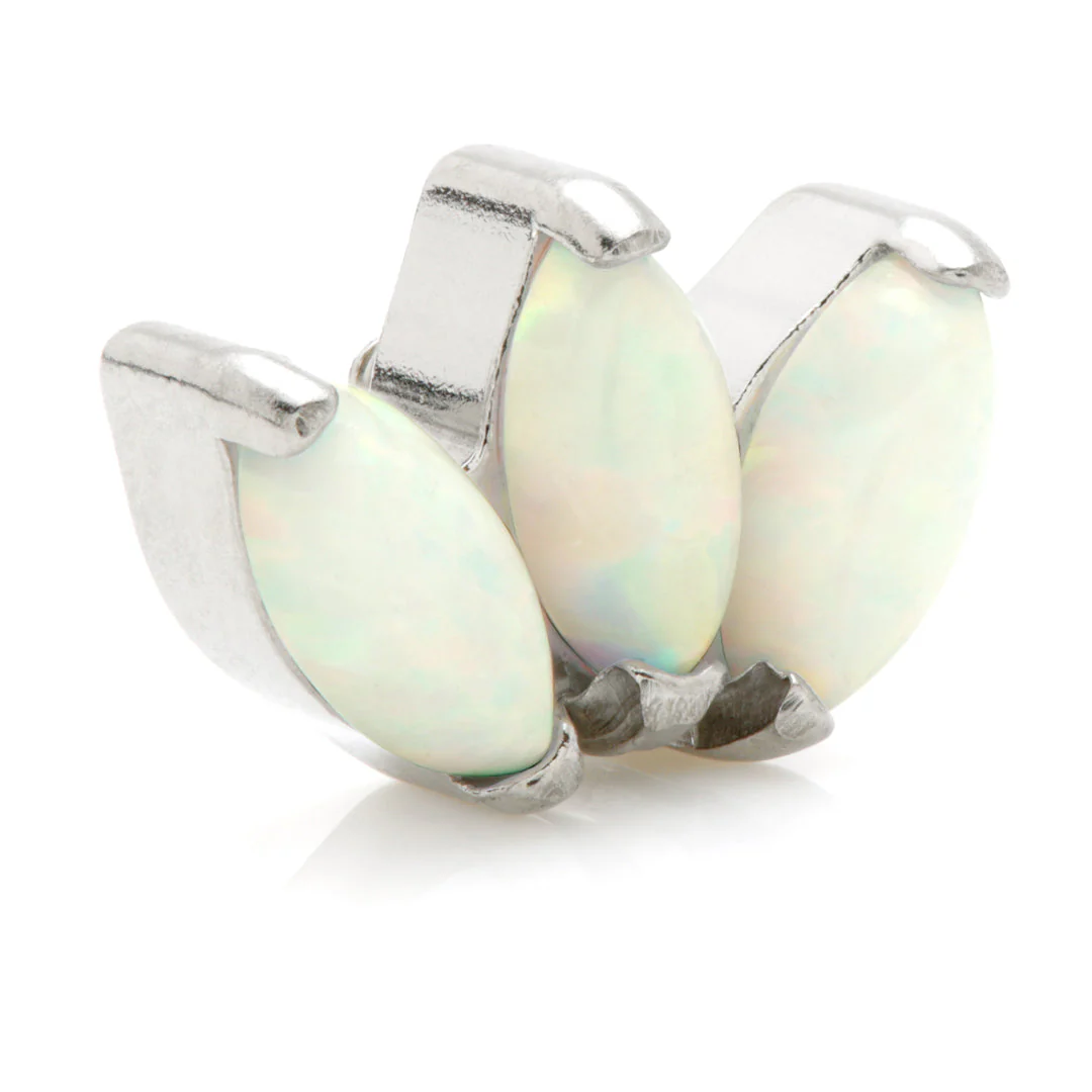 Ti Internal Triple Opal Marquise Attachment - Image 2