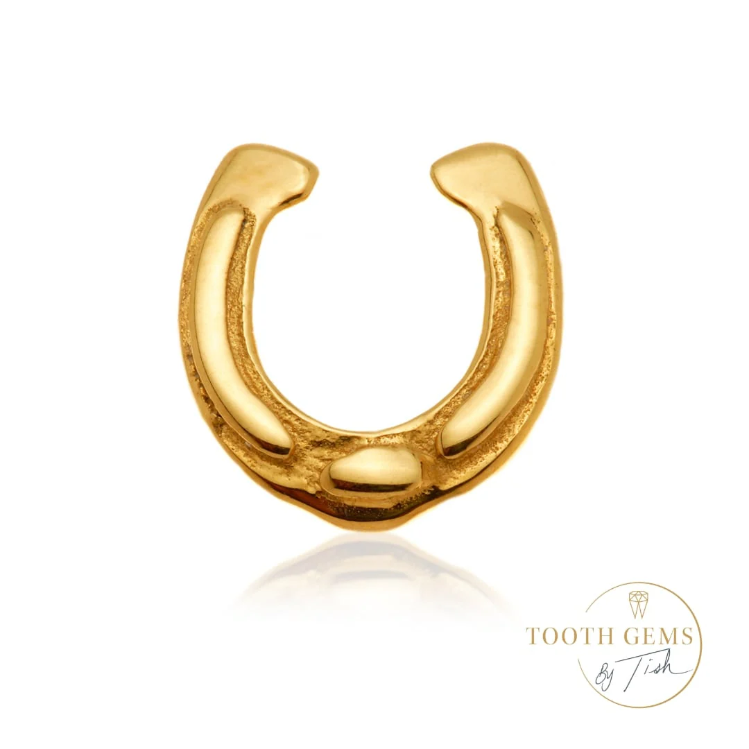 TL Lucky Horse Shoe Tooth Gem - Image 3