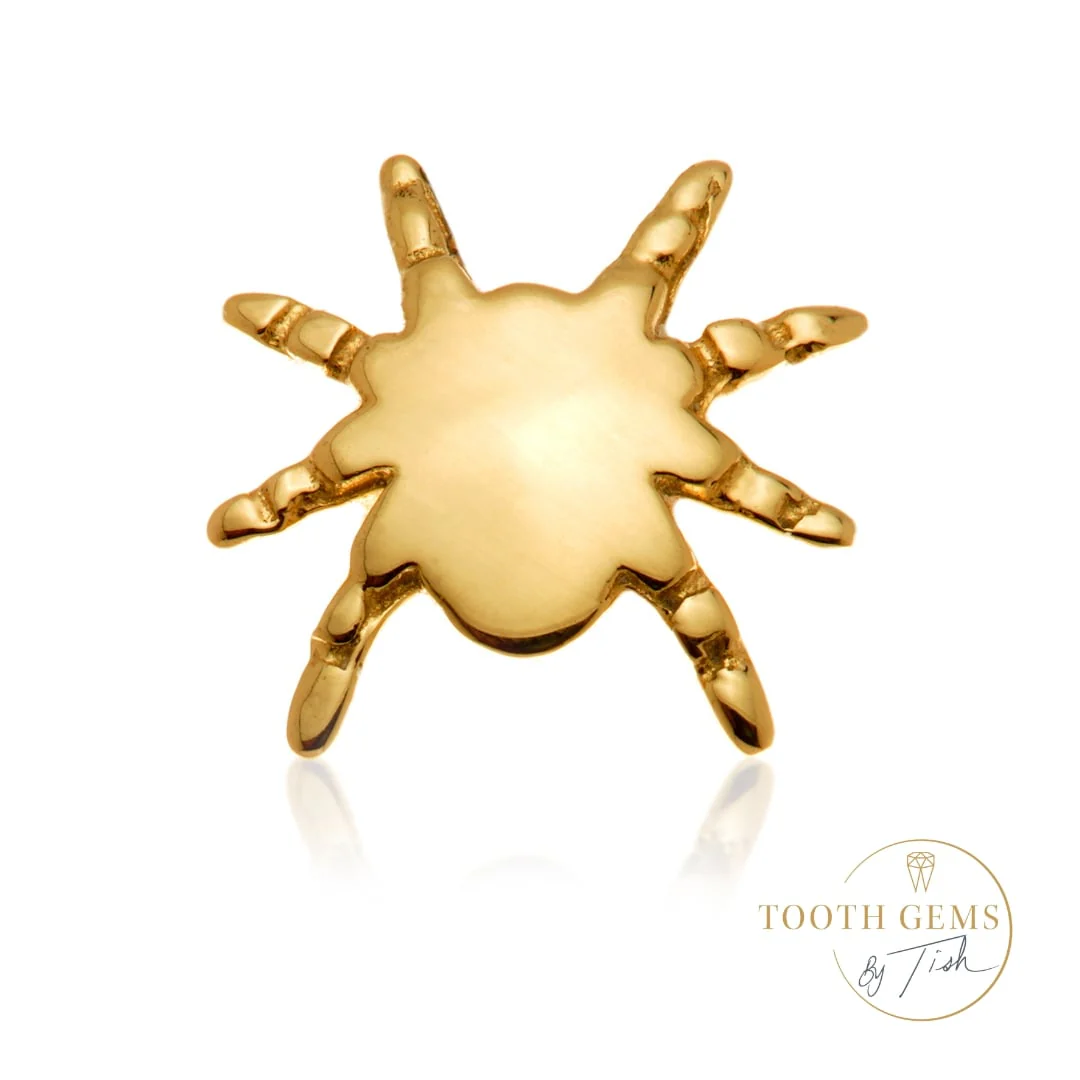 TL Spider Tooth Gem - Image 3