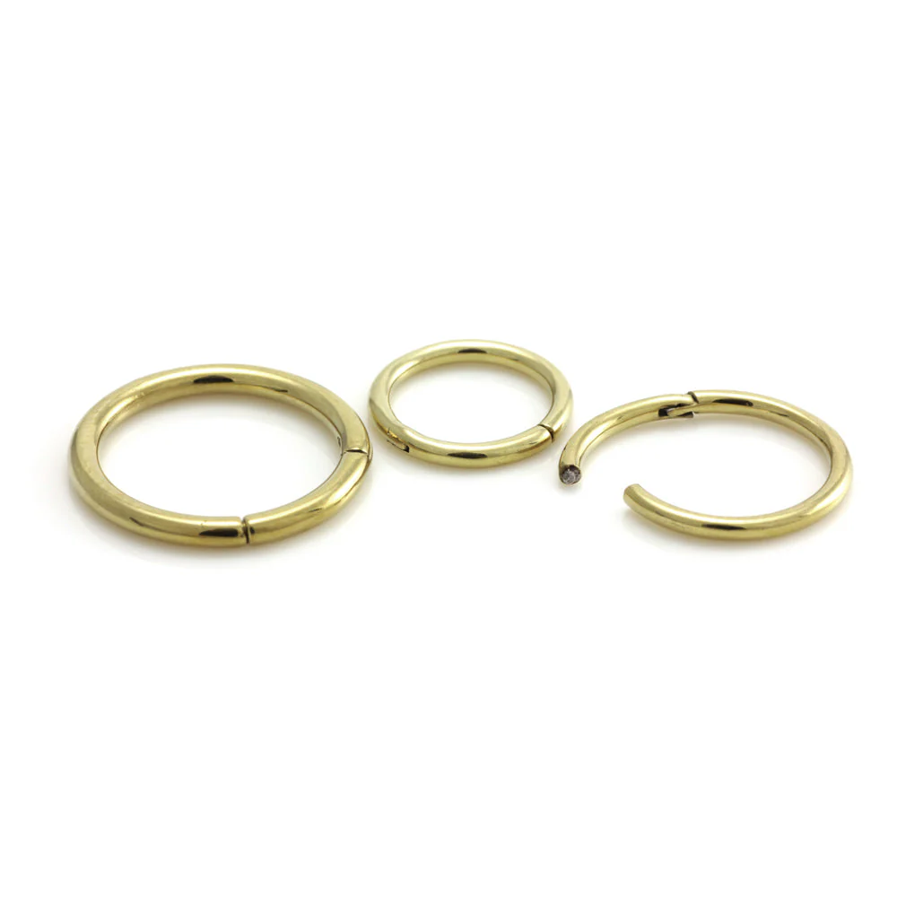 Zircon Gold Steel Hinge Segment Ring - Image 2