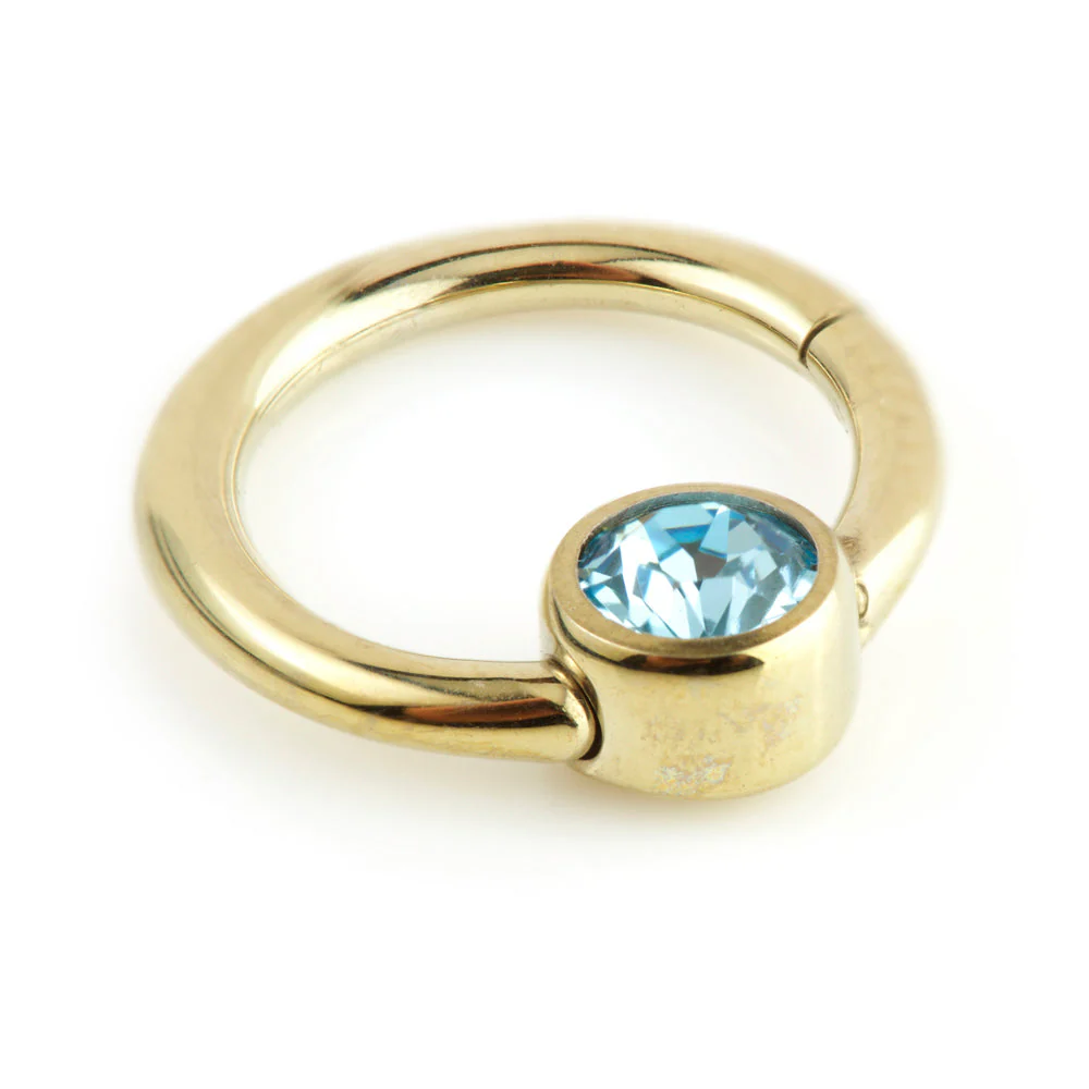 Zircon Gold Steel Hinge Segment Ring with Gem Disk - Image 4